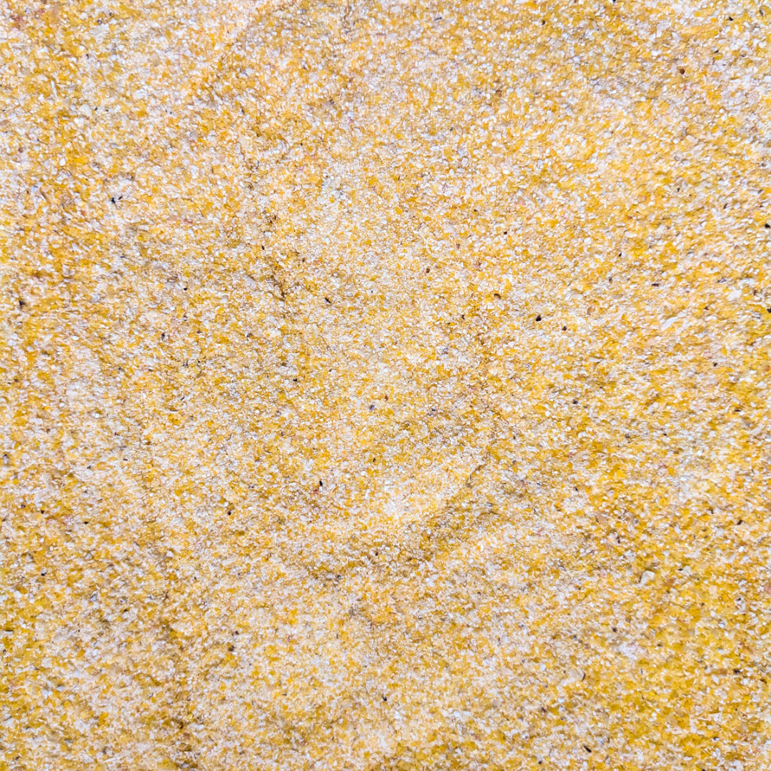 Freshly Milled Nothstine Dent Cornmeal