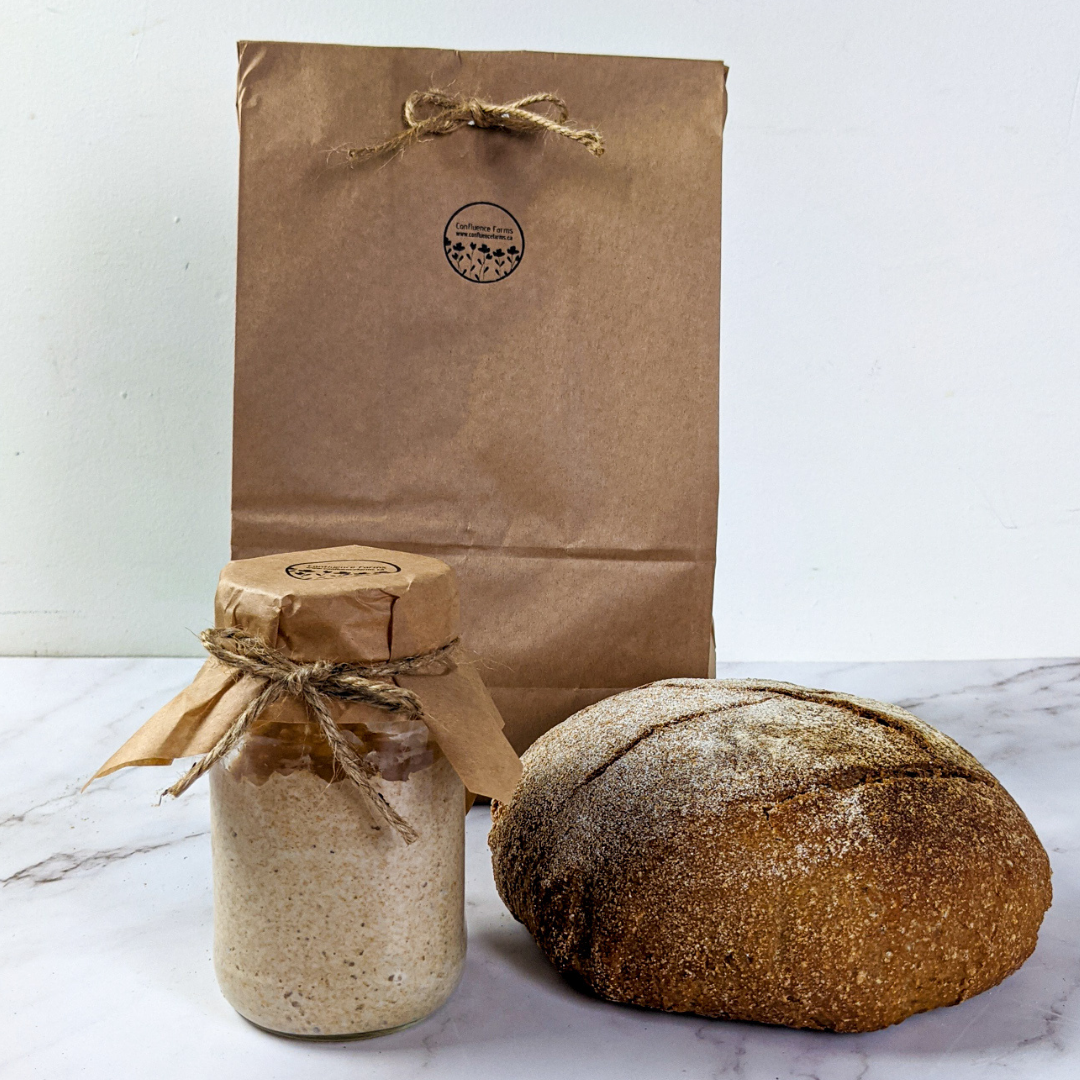 Bread starter culture – LBB BR