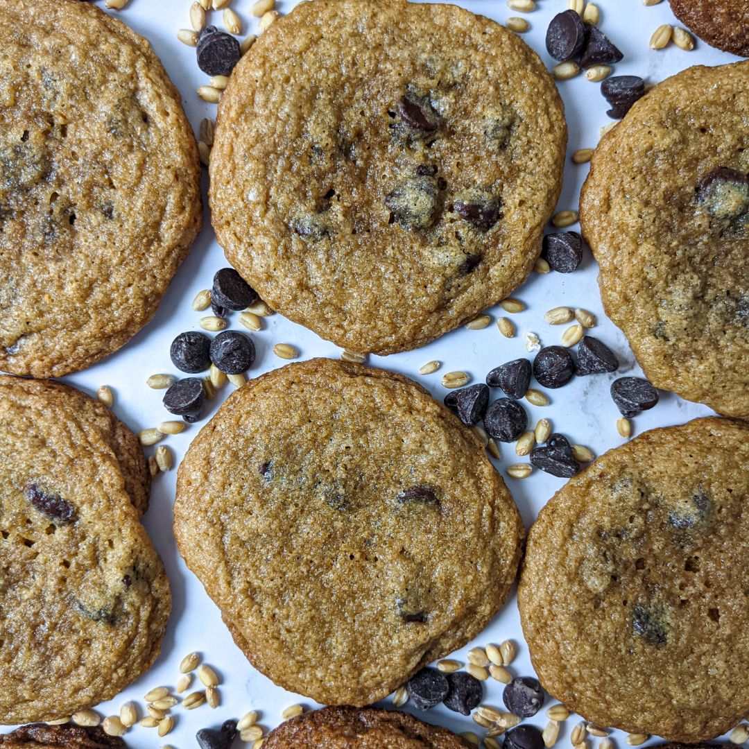 Soft and Chewy Chocolate Chip Cookies