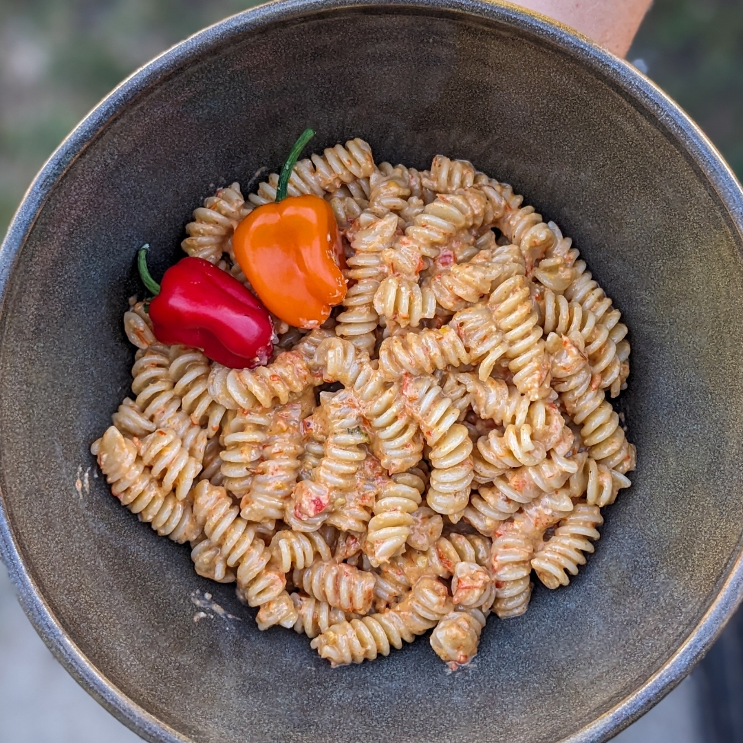 Roasted Picnic Pepper Pesto