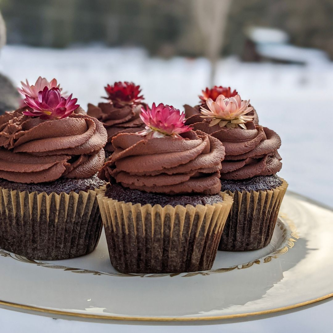 Chocolate Cupcakes