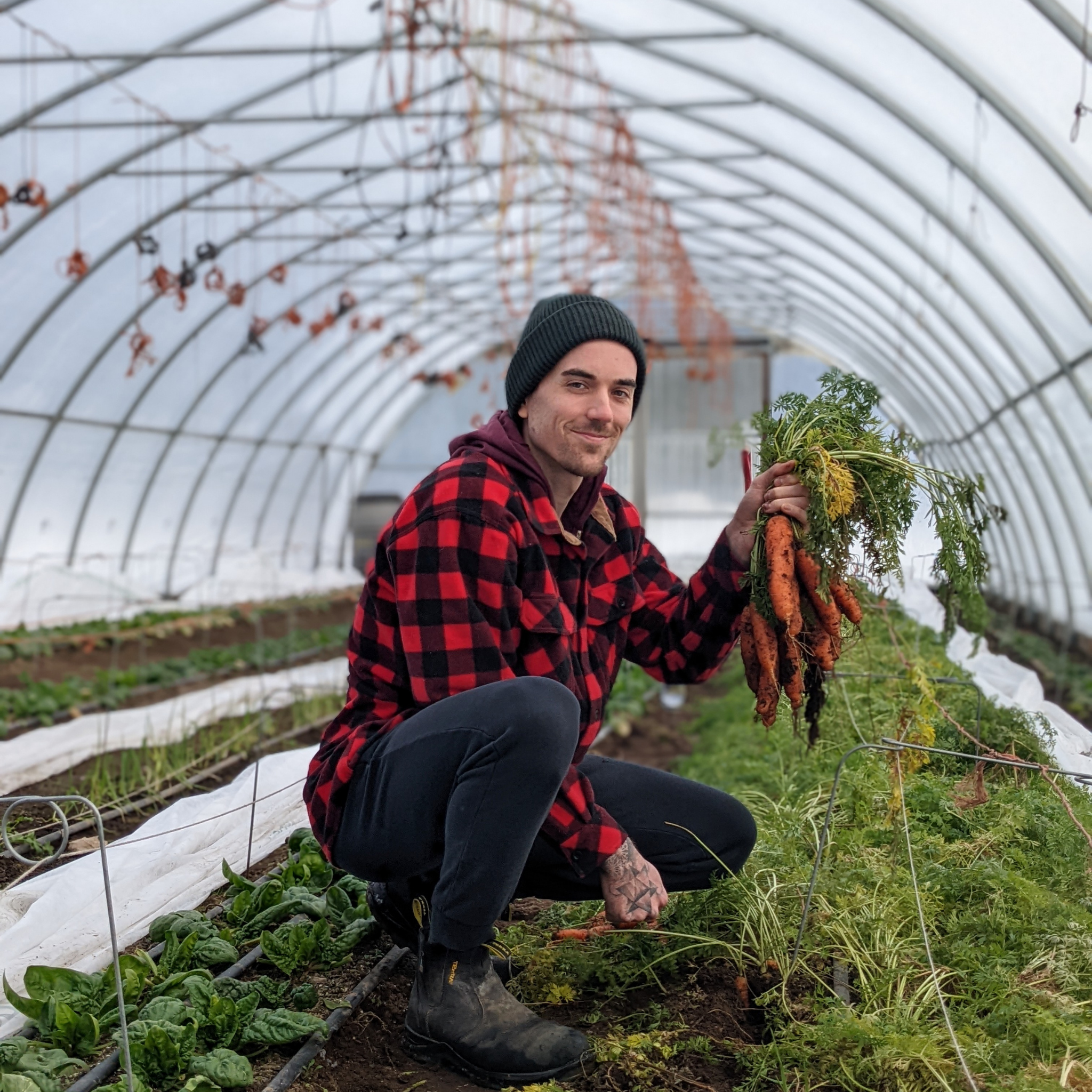 Could small-scale farming transform our healthcare system?