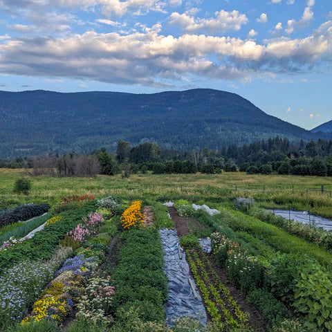 Farms Before Pharmaceuticals