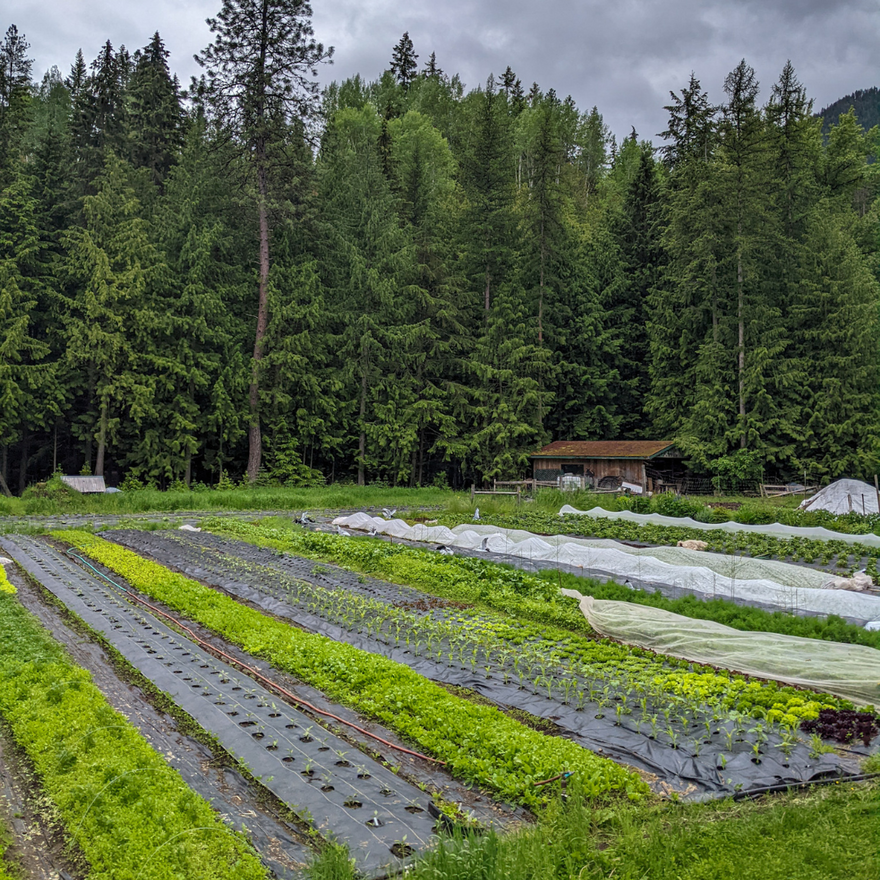 Who really grows your food? Hint: It's not farmers