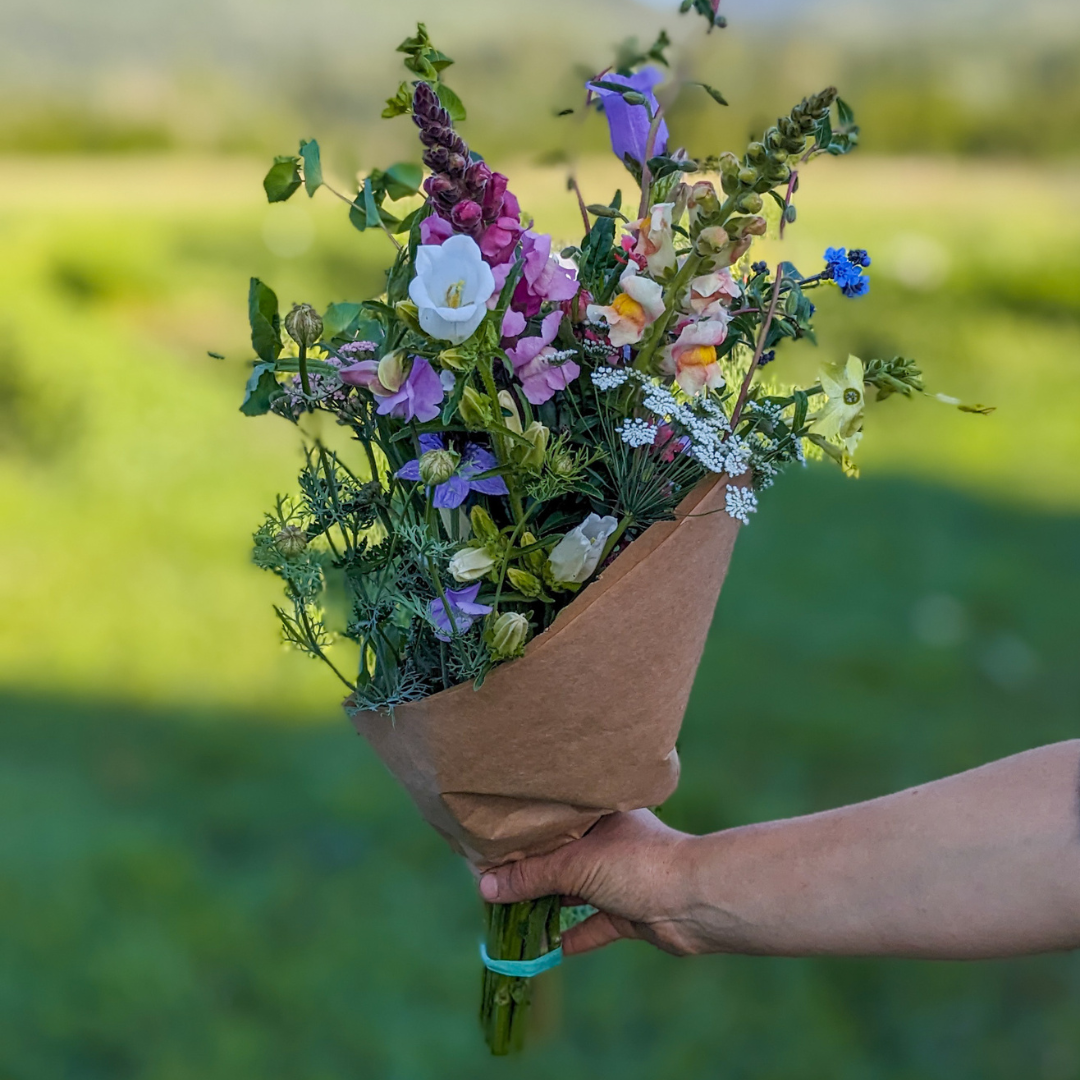 How To Care For Your Flowers