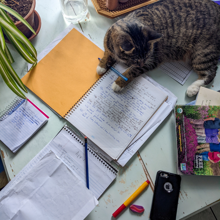 NEWSLETTER January 6 2022