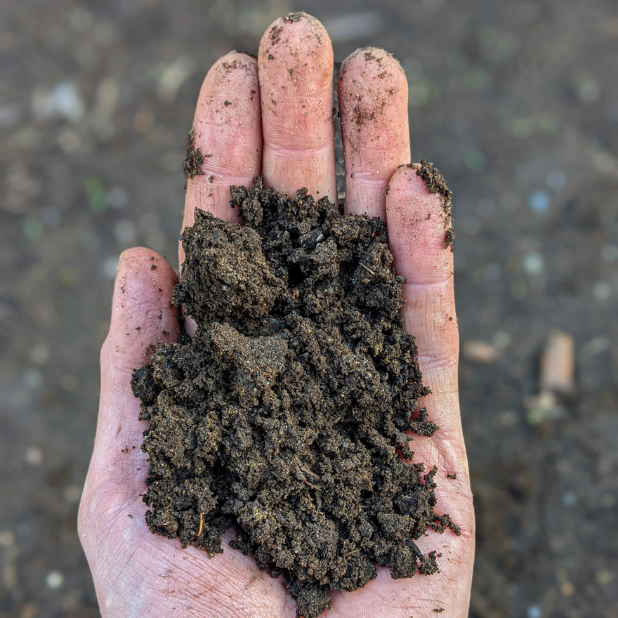 Why soil is one of the most amazing things on Earth 🌎