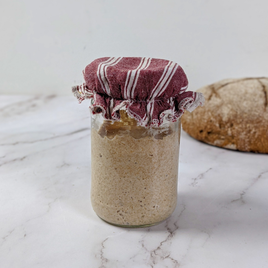 How To Care For Your Whole Wheat Sourdough Starter