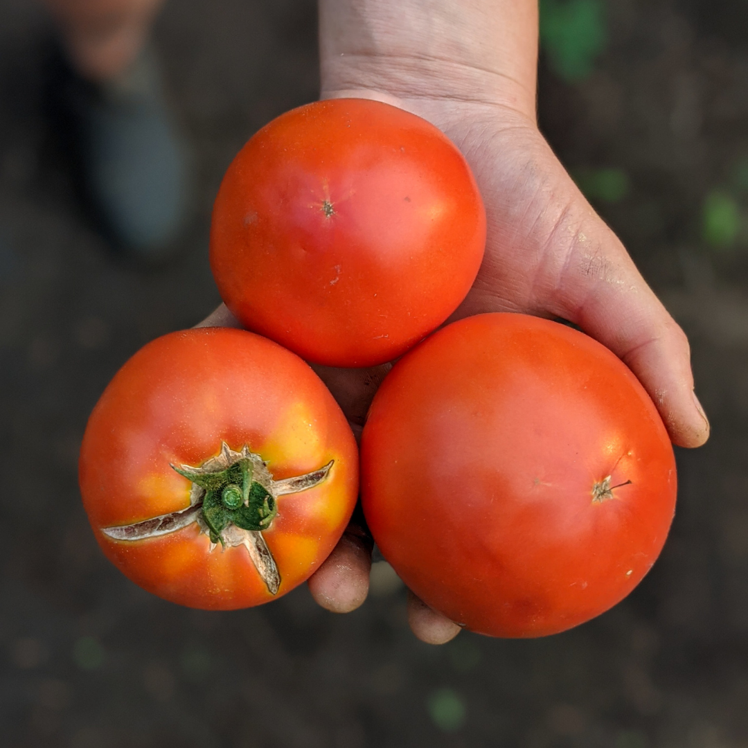 Why we don’t buy California or Mexico grown food