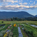 Join Our Farm Membership & Save Up To $200-2