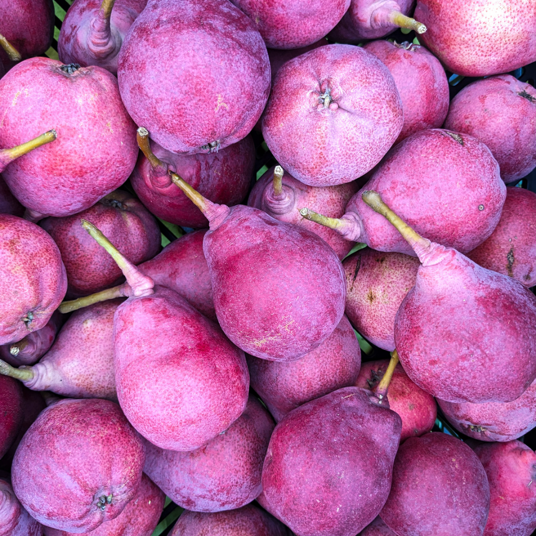 Red Clapp Pears