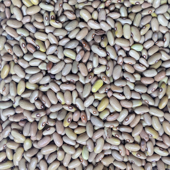 Ireland Creek Annie Dry Beans