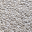 Purgatory Dry Beans-1