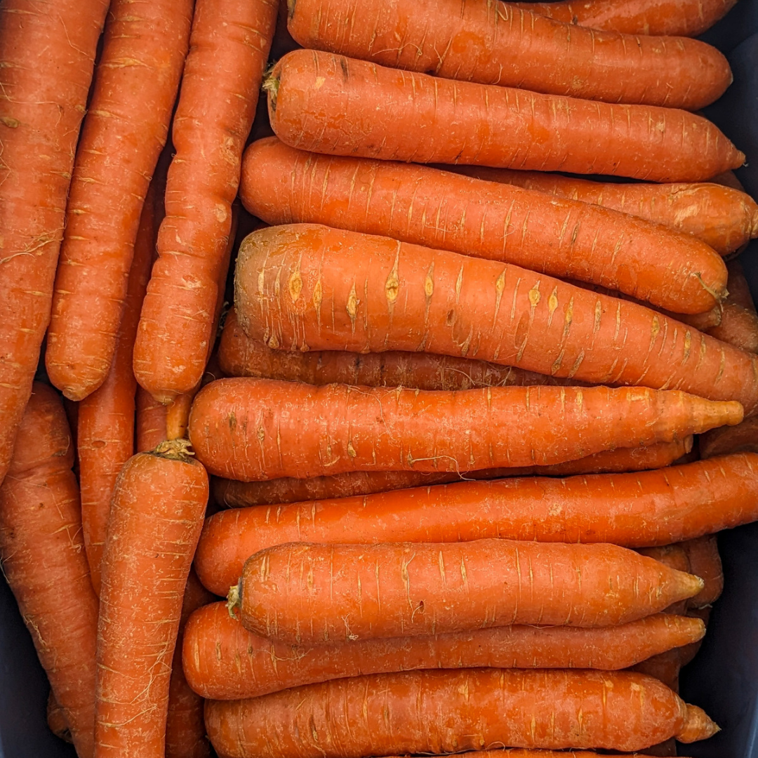 Orange Storage Carrots