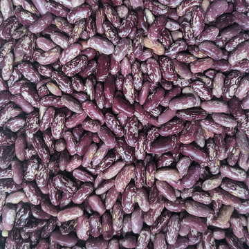 Kidney Dry Beans