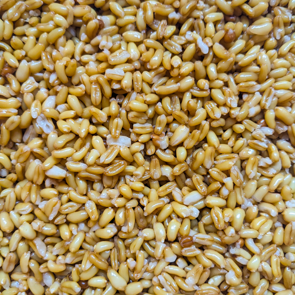 Khorasan Wheat "Rice"