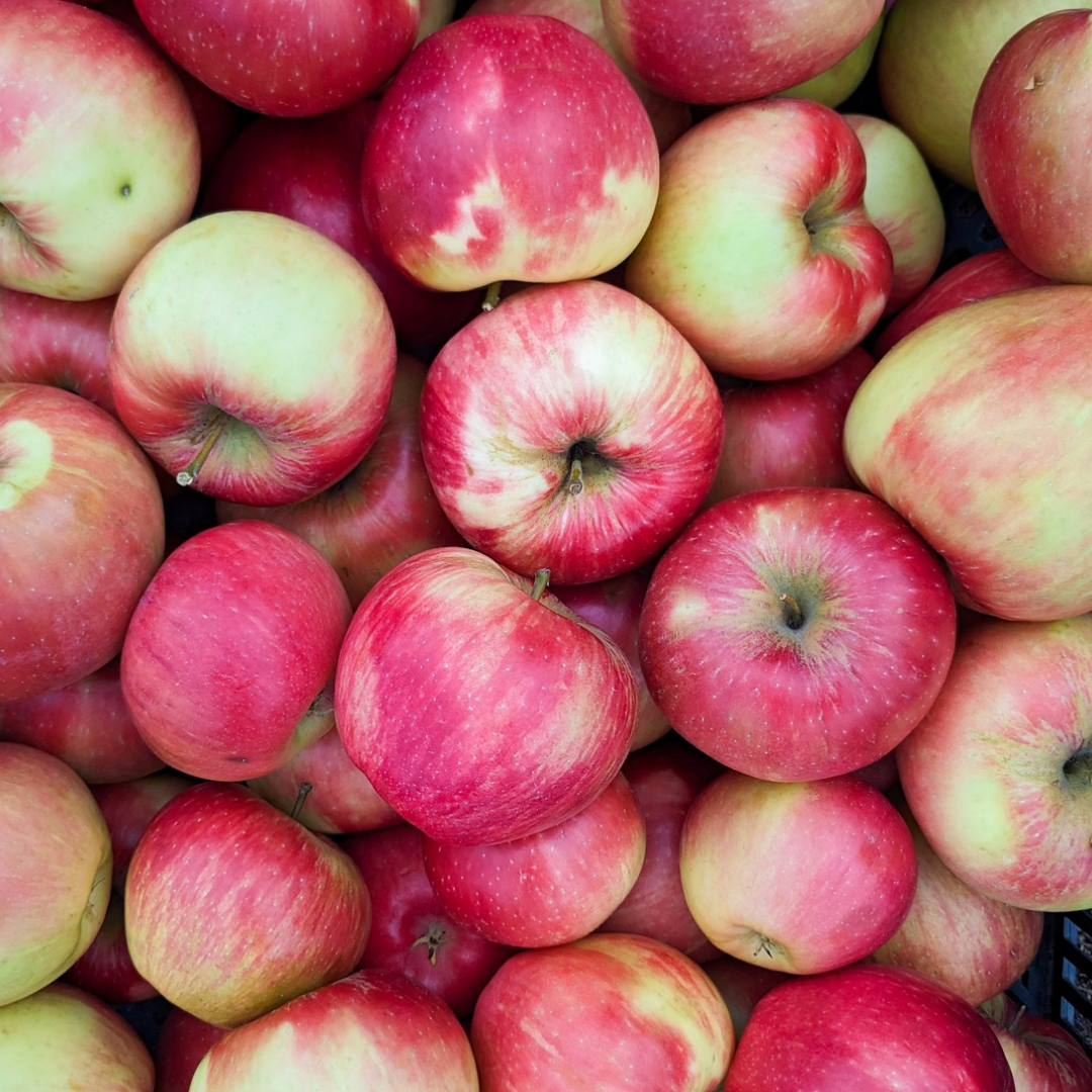 Honey Crisp Apples