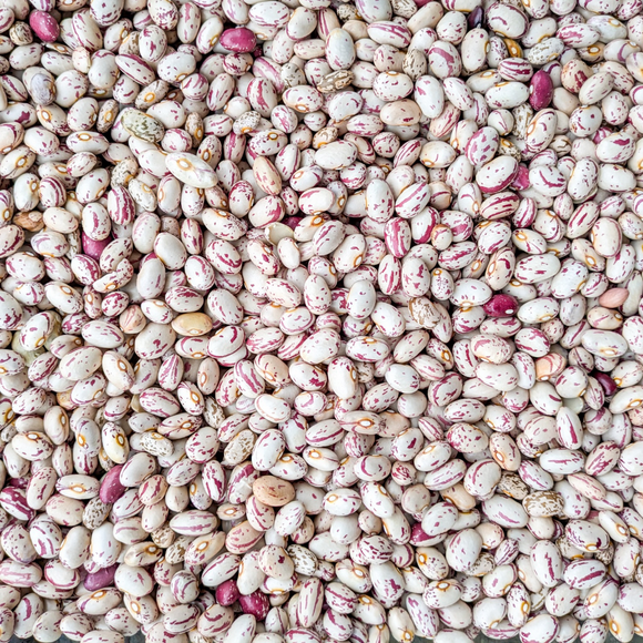 Fresh Cranberry Dry Beans