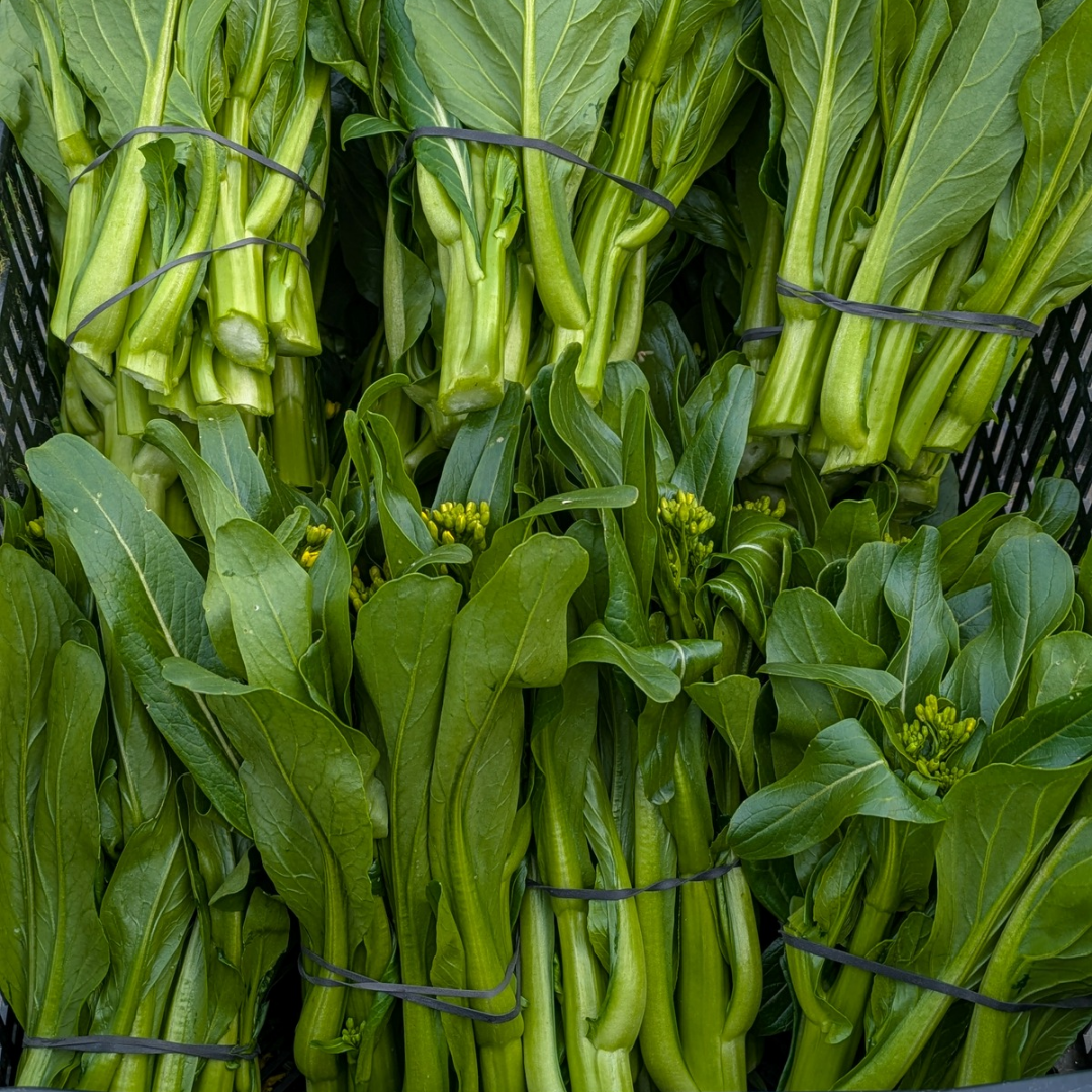 Choi Sum