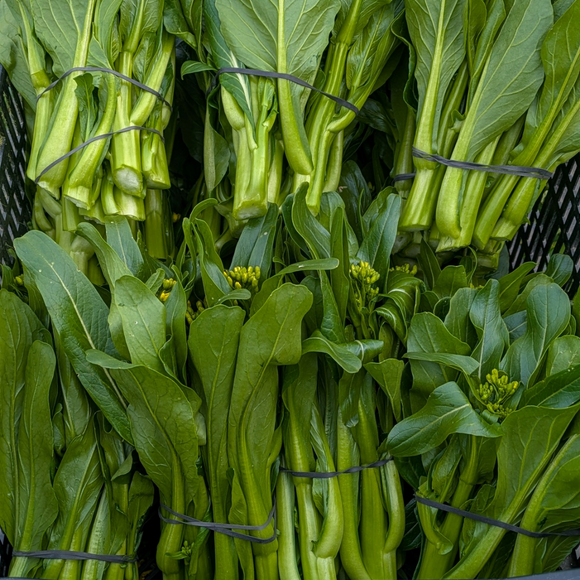 Choi Sum Bunches