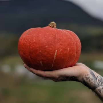 Marmalade Kabocha Squash