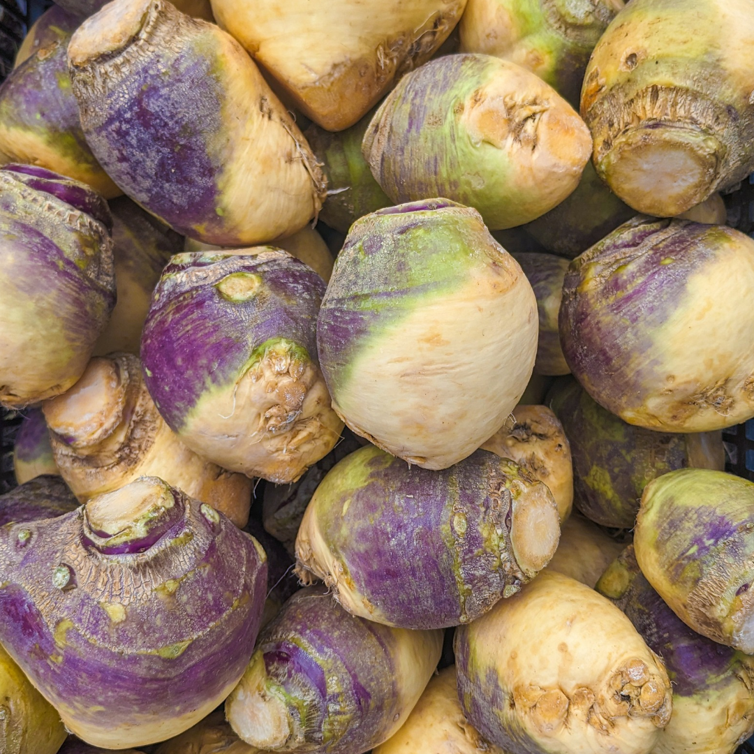 Rutabaga