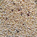 Amish Butter Popcorn-1