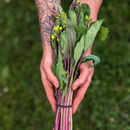 Hon Tsai Tai (Asian Asparagus)-1