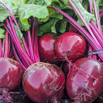 Beet Bunches