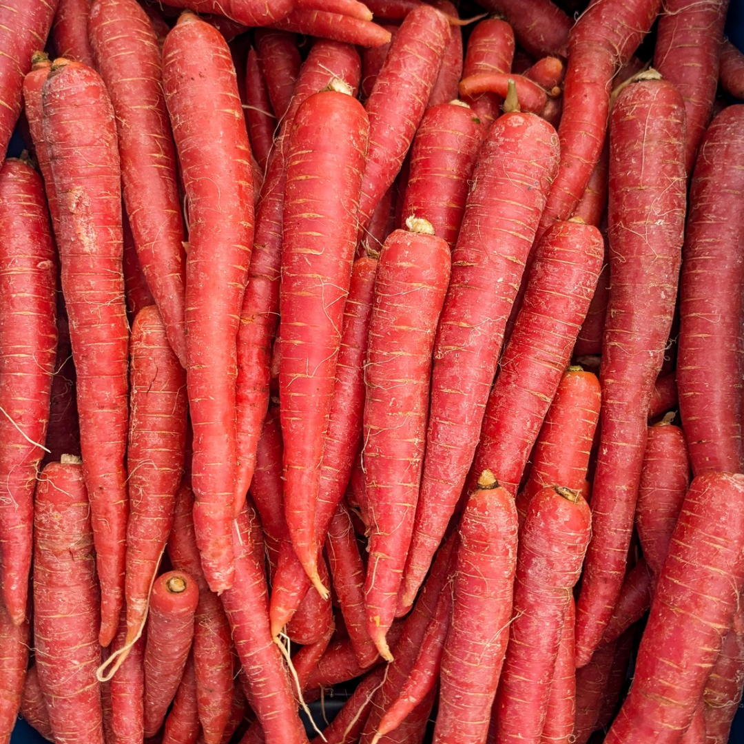 Red Storage Carrots