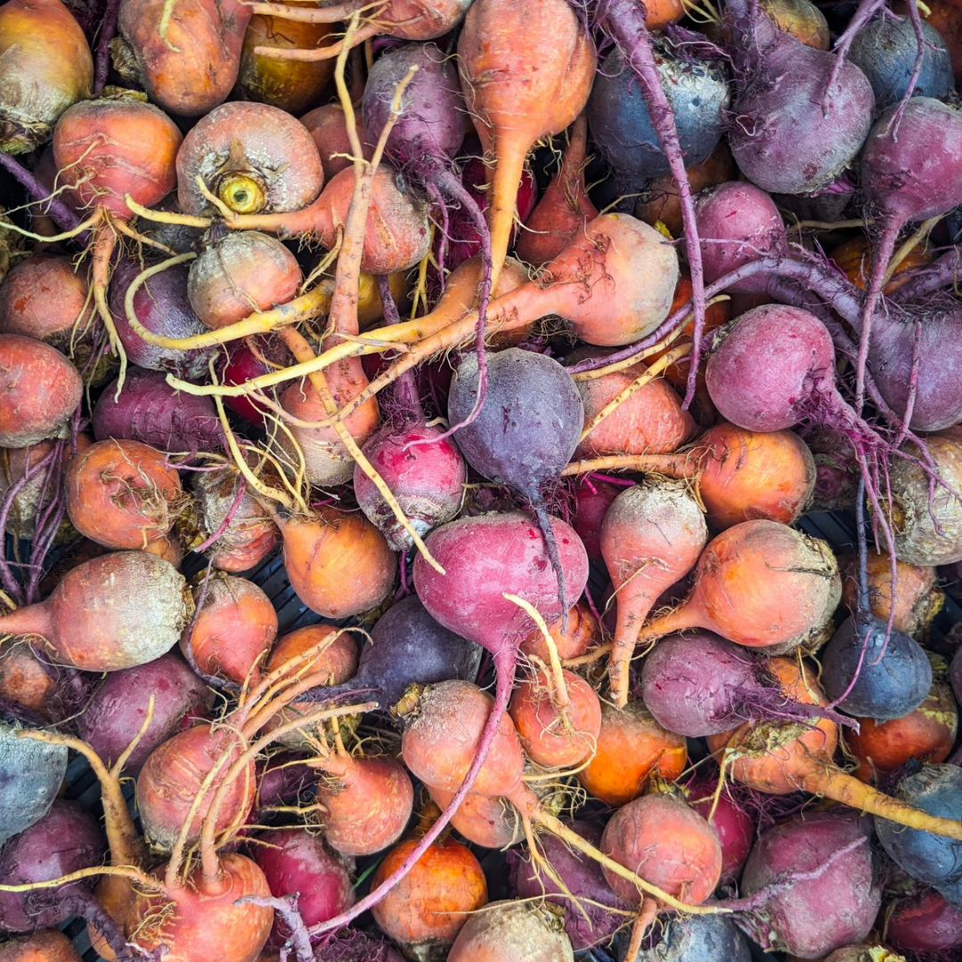 Bulk Baby Beets