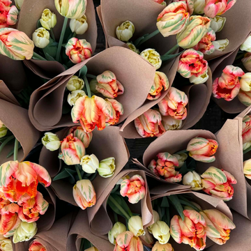 Tulip Bouquets