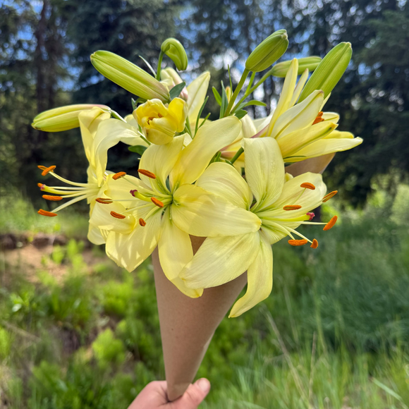 Lily Bouquets