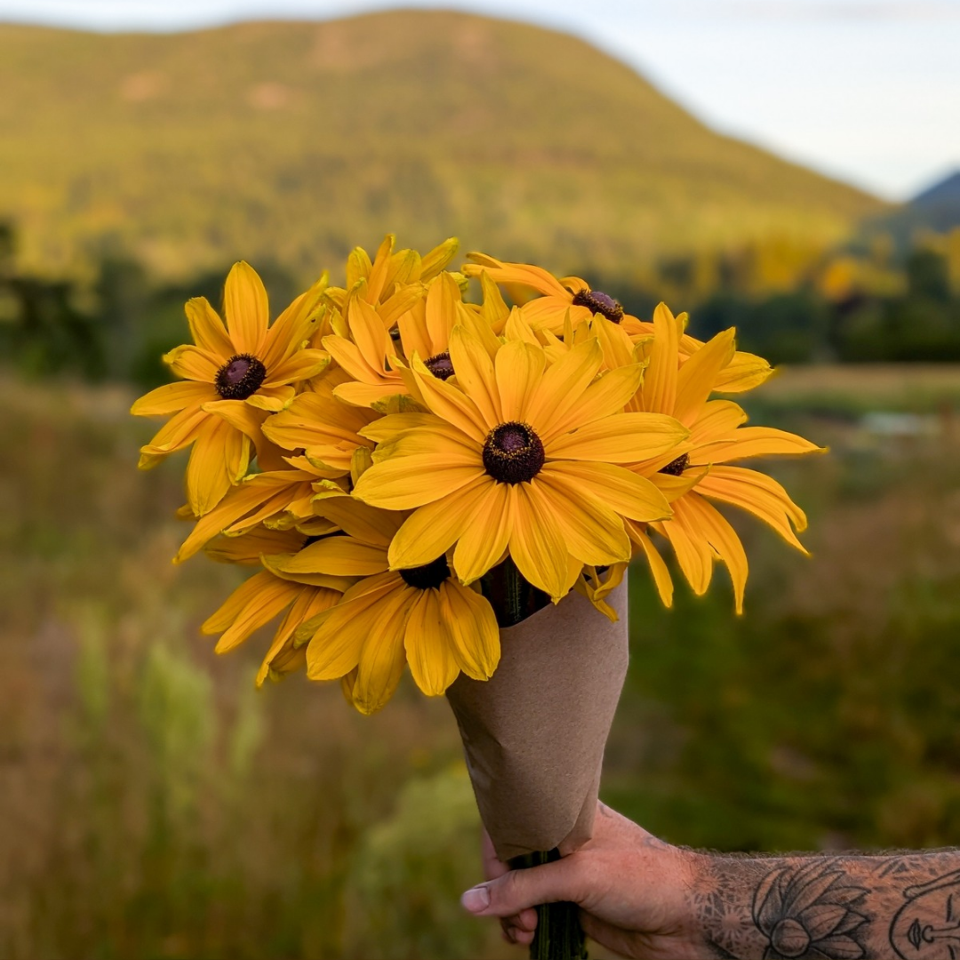 Rudbeckia Bouquet