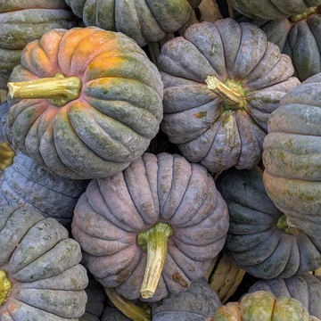 Black Futsu Squash