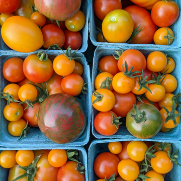 Cherry Tomatoes
