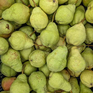 Green Clapp Pears