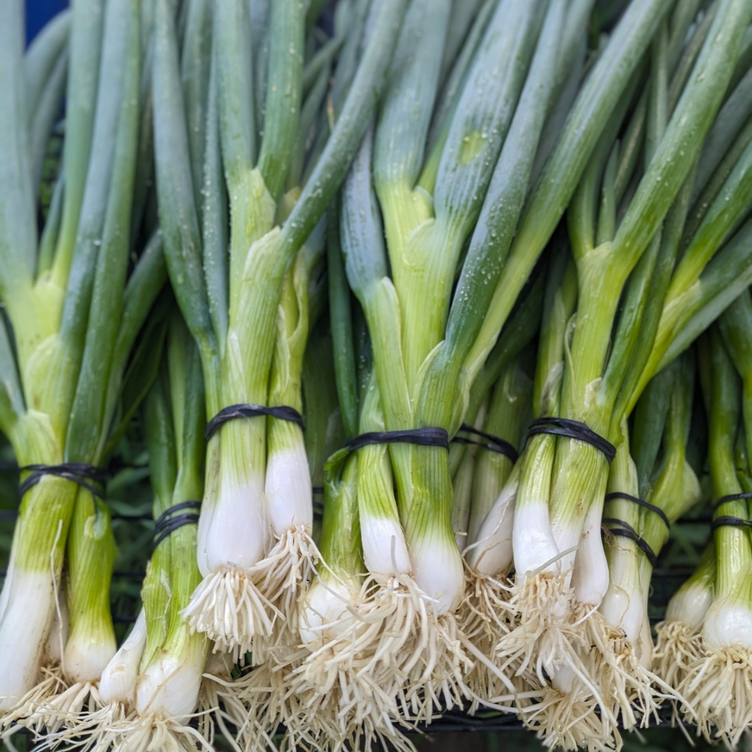 Green Onions