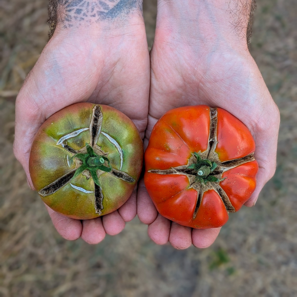 Cracked Slicer Tomatoes (50% Off)
