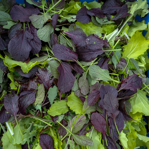 Farmer's Choice Salad Mix
