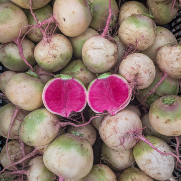 Watermelon Radish
