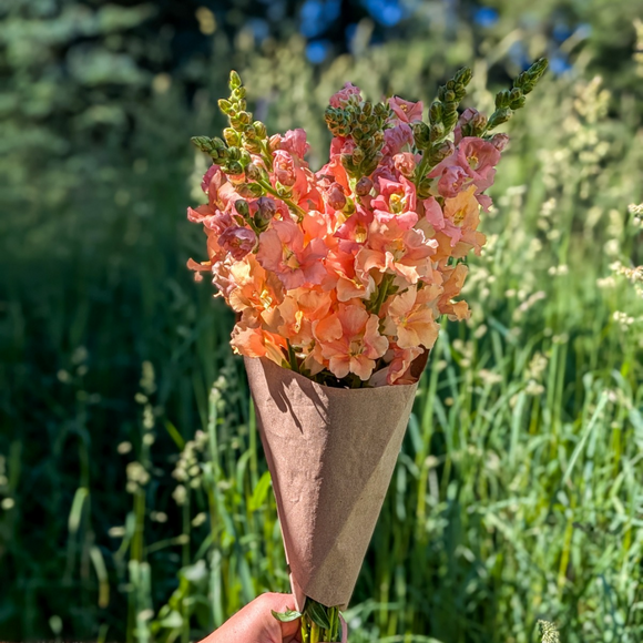 Snapdragon Bouquet
