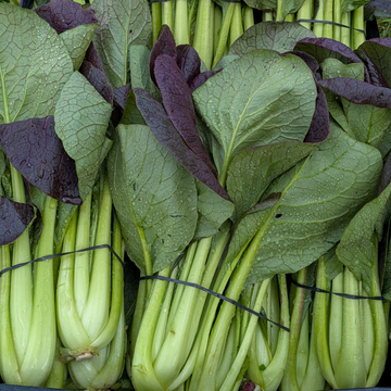 Purple Pac Choi