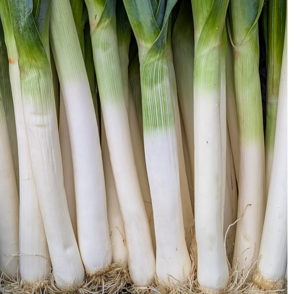 Leeks
