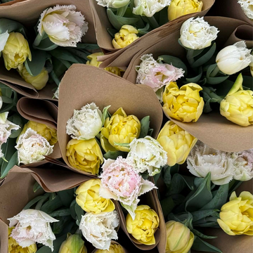 Tulip Bouquets