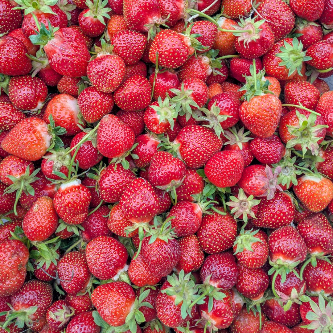 Fresh Strawberry Pints