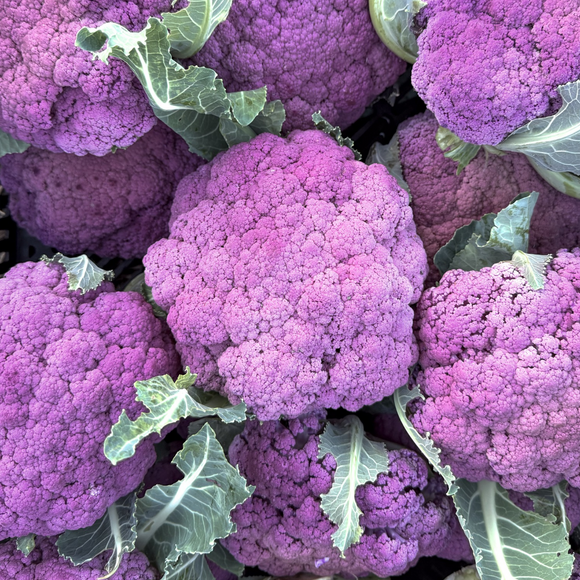 Purple Cauliflower