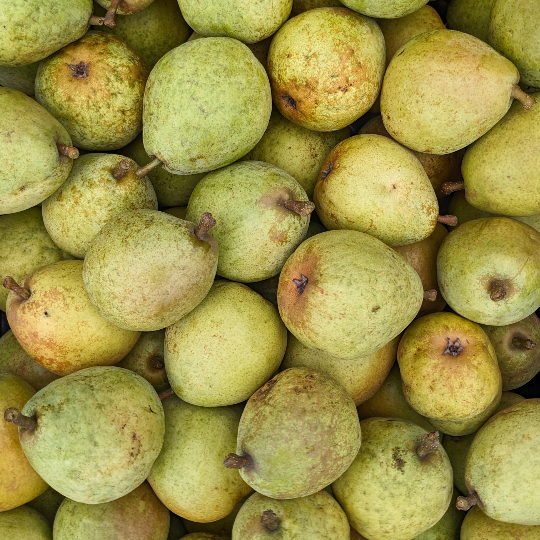 Bartlett Pear