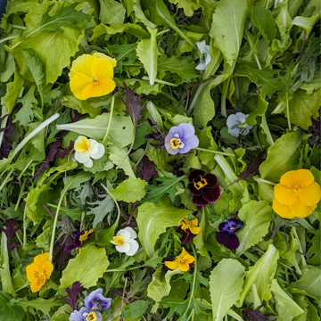 Farmer’s Choice Salad Mix