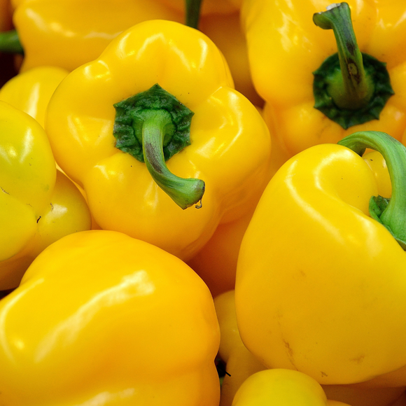 Yellow Bell Peppers